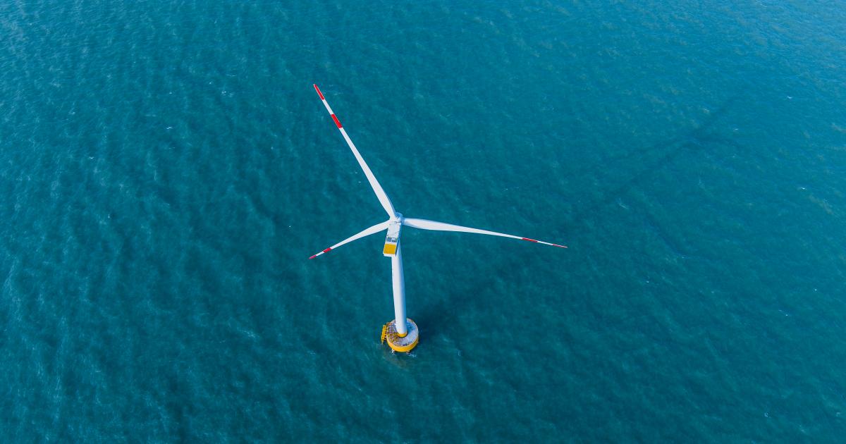 The facts on wind turbines, whales and New Jersey's future